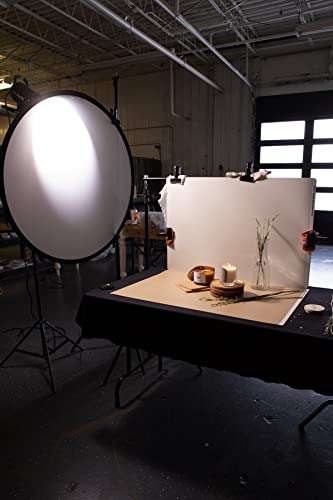 Bessie Bakes Natural Brown Solid Color Roll-Up 2 Feet x 3 Feet Photography Backdrops 3 Pack - color: Light Taupe, Beige, French Vanilla