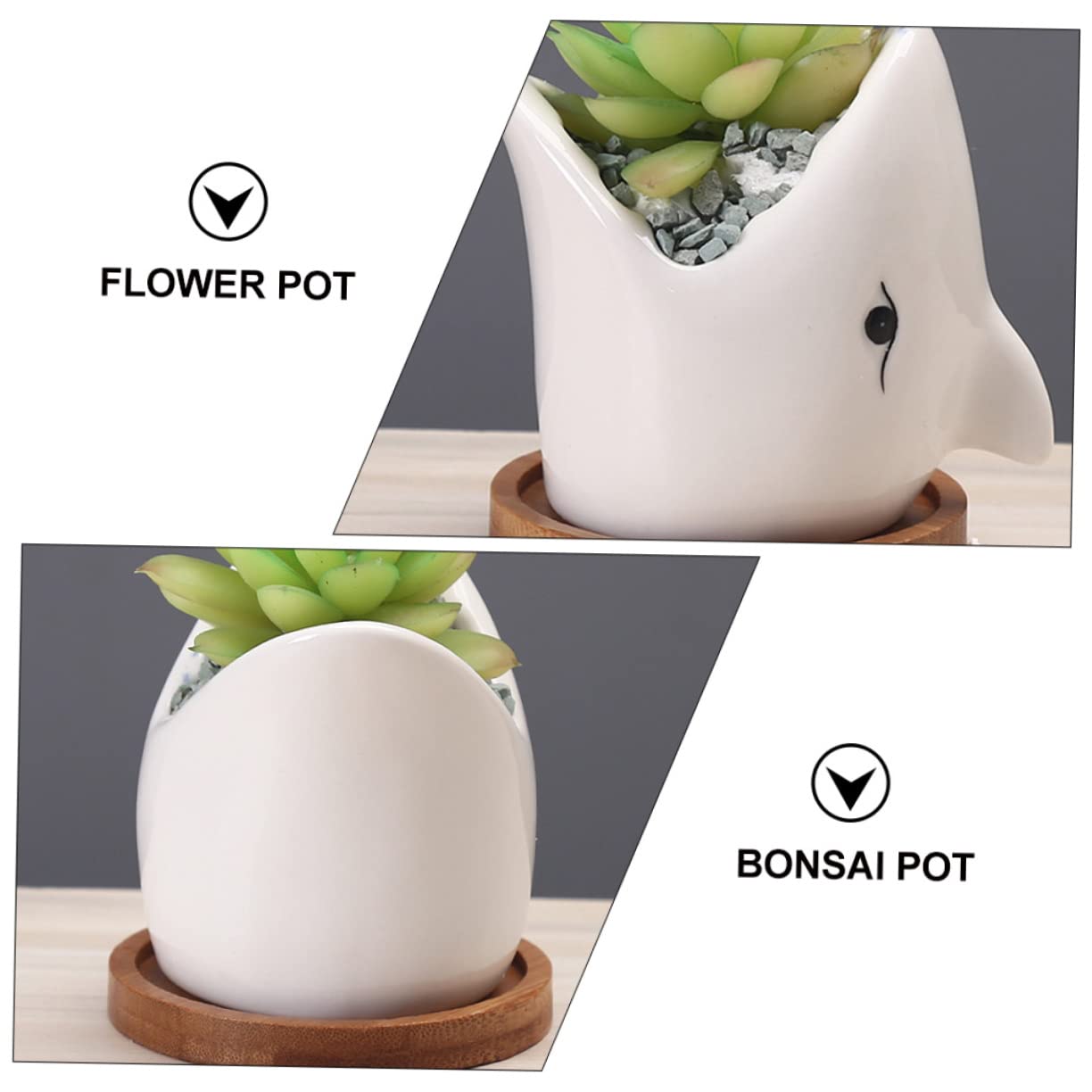 OFFSCH Adorable Ceramic Succulent Flowerpot Unique Big Mouth Shark Design for Indoor Decor Present for Friends and Planter