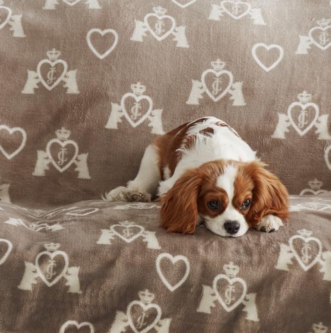 Juicy Couture Birch Brown/White 50" x 60" Dog and Cat – Plush Puppy Throw, Printed, Breathable, Lightweight, Machine Washable for Small Medium & Large Pets