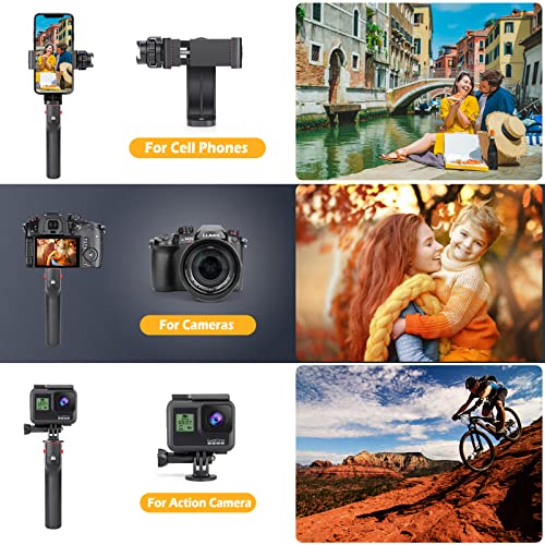 Zeadio Smartphone Video Cage Rig, Filmmaking Vlogging Case, Phone Stabilizer Tripod Mount with Wireless Remote Shutter Fits for All iPhone and Android Smartphones - style: Basic Version