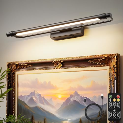ZitoStory Battery Operated Picture Light for Wall with Remote,Dimmable Rechargeable LED Picture Lights Black Frame Wall Art Lamp for Bedroom, Living Room, Gallery 16 Inches - color: Black & 16 Inch
