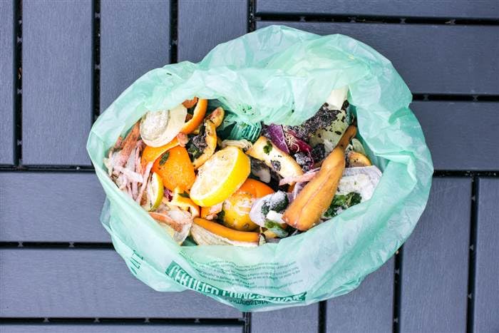 4 Gallon Compostable Trash Bags by BioBag (75 Count)