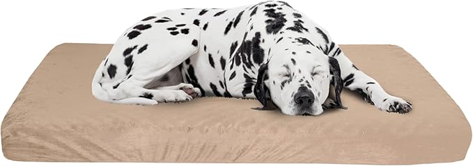 Orthopedic Dog Bed - 2-Layer Pet Bed for Floor, Kennel, or Crate with Removable Washable Cover - 46x27 Dog Bed for Large Dogs by PETMAKER (Gray)