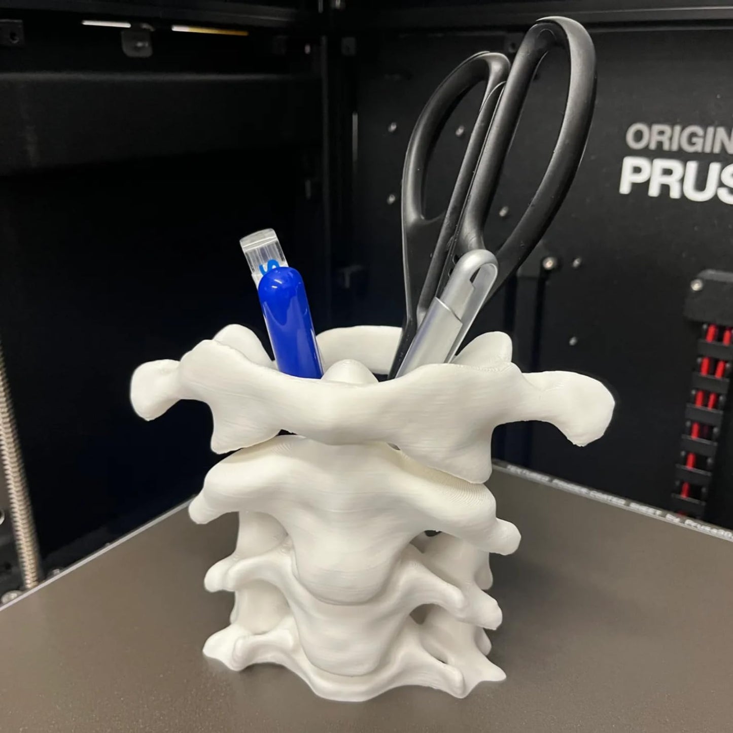 TIME&TRAVE Unique Spine Pen Holder for Desk, Pencil Holder Desk Organizers, Office Supplies Decorations Idea Gift for Doctors, Nurses, Chiropractors
