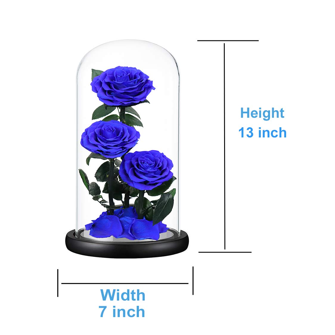 Preserved Roses Handmade Preserved Flowers in Glass Dome, Blue Rose Never Withered, Birthday Gifts for Women (13 inch)