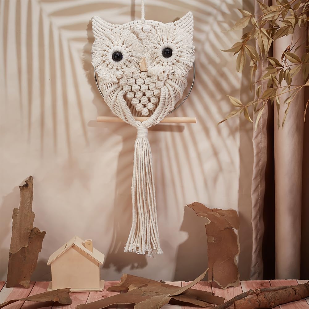 FREEBLOSS Macrame Owl Kit for Beginners Macrame Wall Hanging Kit DIY Macrame Kit with Video Tutorial Macrame Hanging Decor for Adults Gift, Naturally white
