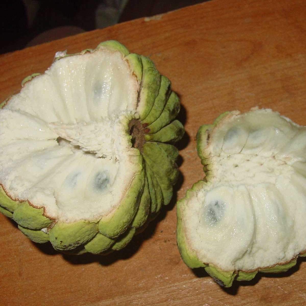 Live Plant - Sugar Apple (Annona Squamosa) Big Live Fruit Tree 12โ-24โ