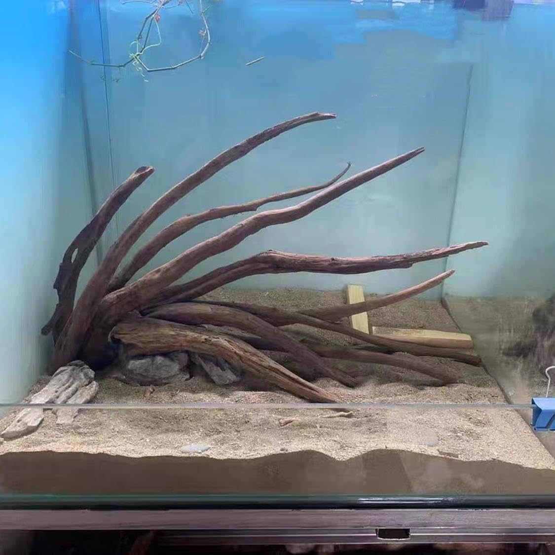 AWXZOM Aquarium Driftwood Branches,2.2lb 9-14inch Long Driftwood for Aquarium Reptile Driftwood Branches Log Natural Driftwood for Aquarium Reptile Branches
