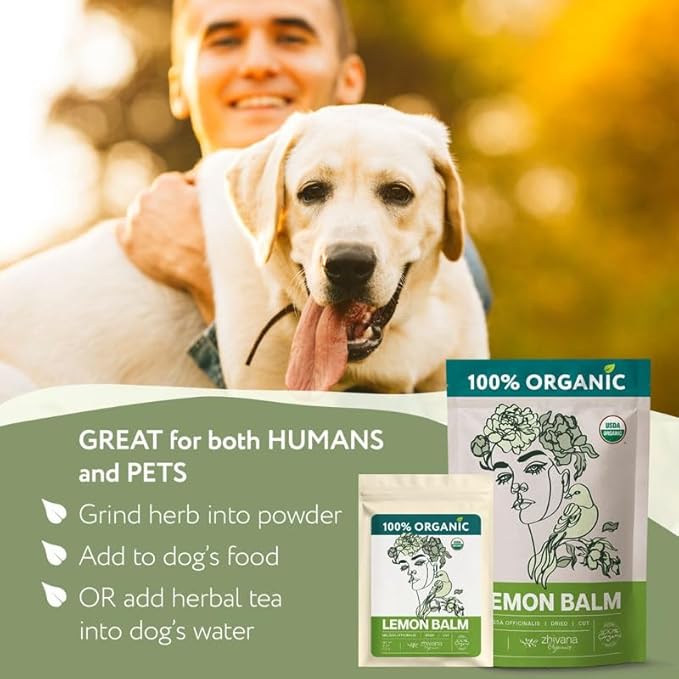 Organic Lemon Balm Leaves (4oz.) - Lemon Balm Tea Organic - Loose Leaf Melissa Tea - Te de Tolonjil - Natural Support for Stress Response, Sleep, Digestion