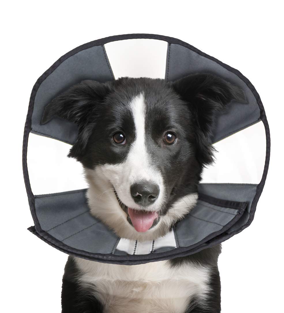 ZenPet Recovery Cone E-Collar for Dogs & Cats – Soft, Comfortable, Safe & Stress-Free Healing After Surgery, Adjustable Design, Secure Custom Fit (Large)