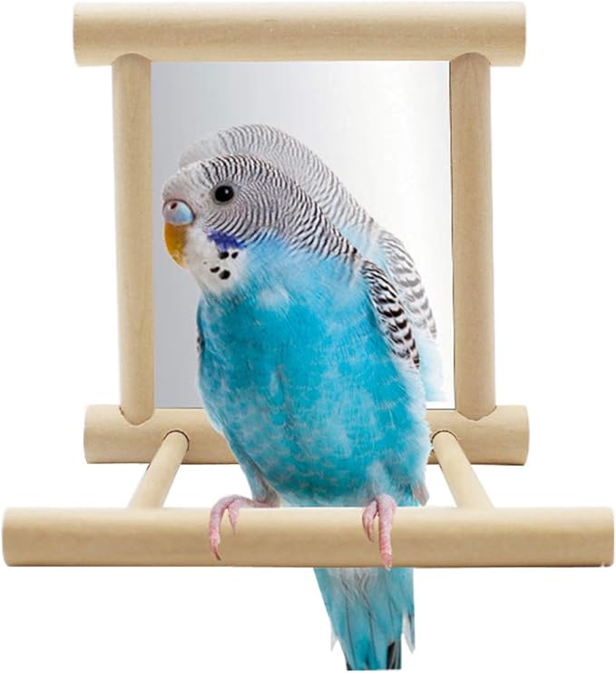 Hypeety Pet Bird Mirror with Bell Interactive Parrot Toy for Parrot Macaw African Greys Budgies Cockatoo Parakeet Cockatiels Conure Lovebird Cage Bells Mirror (A)