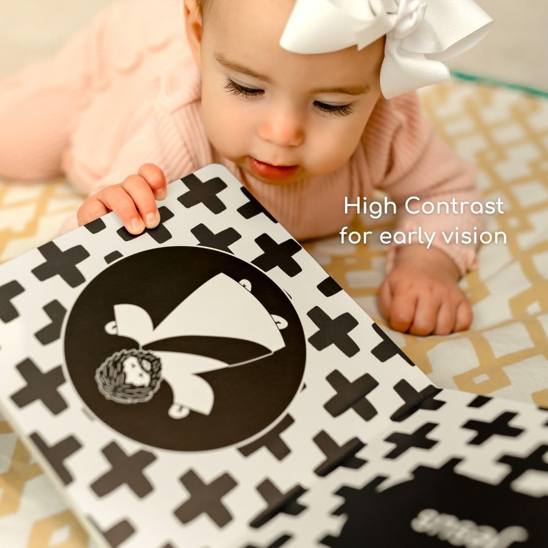 Baby's 1st Catholic Book - High Contrast Board Book with Coated Matte Cover - Promotes Visual & Cognitive Development - Perfect Catholic Gift for Newborns Baby - Black & White