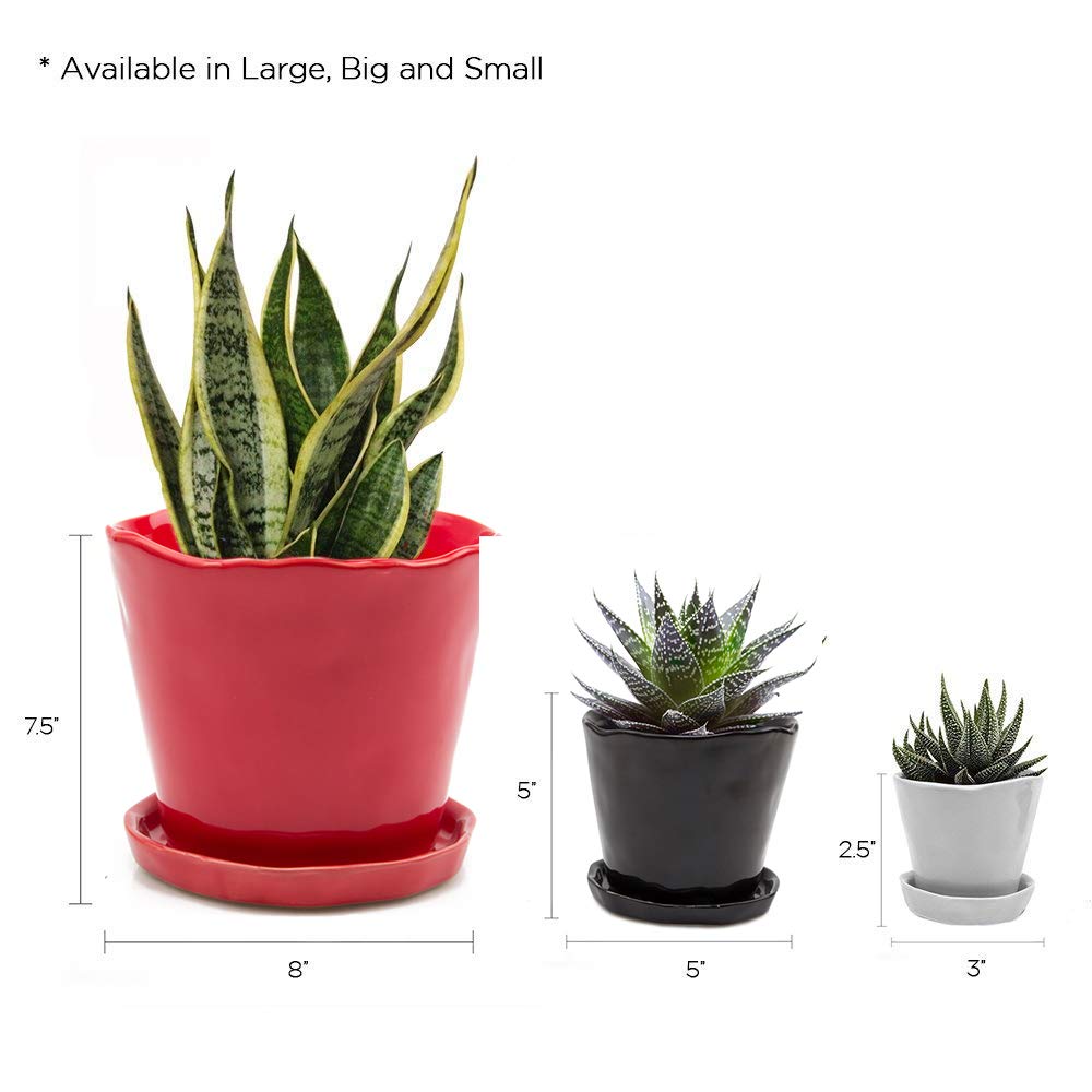 CHIVE ‘Tika’ Ceramic Planter Pot — Large 8" Succulent Pots for Indoor & Outdoor House Plants — Cute, Beautiful Modern Farmhouse Kitchen Decor — Green