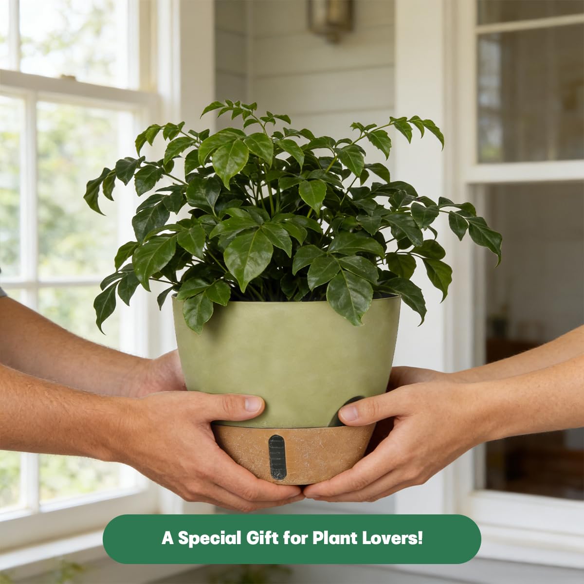 YUNLINGAA Self-Watering Hanging Planters for Indoor Plants Set 2-Piece Includes Plant Hanging Pot, Drainage-Hole Hanging Pot, and Hanging Basket Rack (10 Inches, Green)