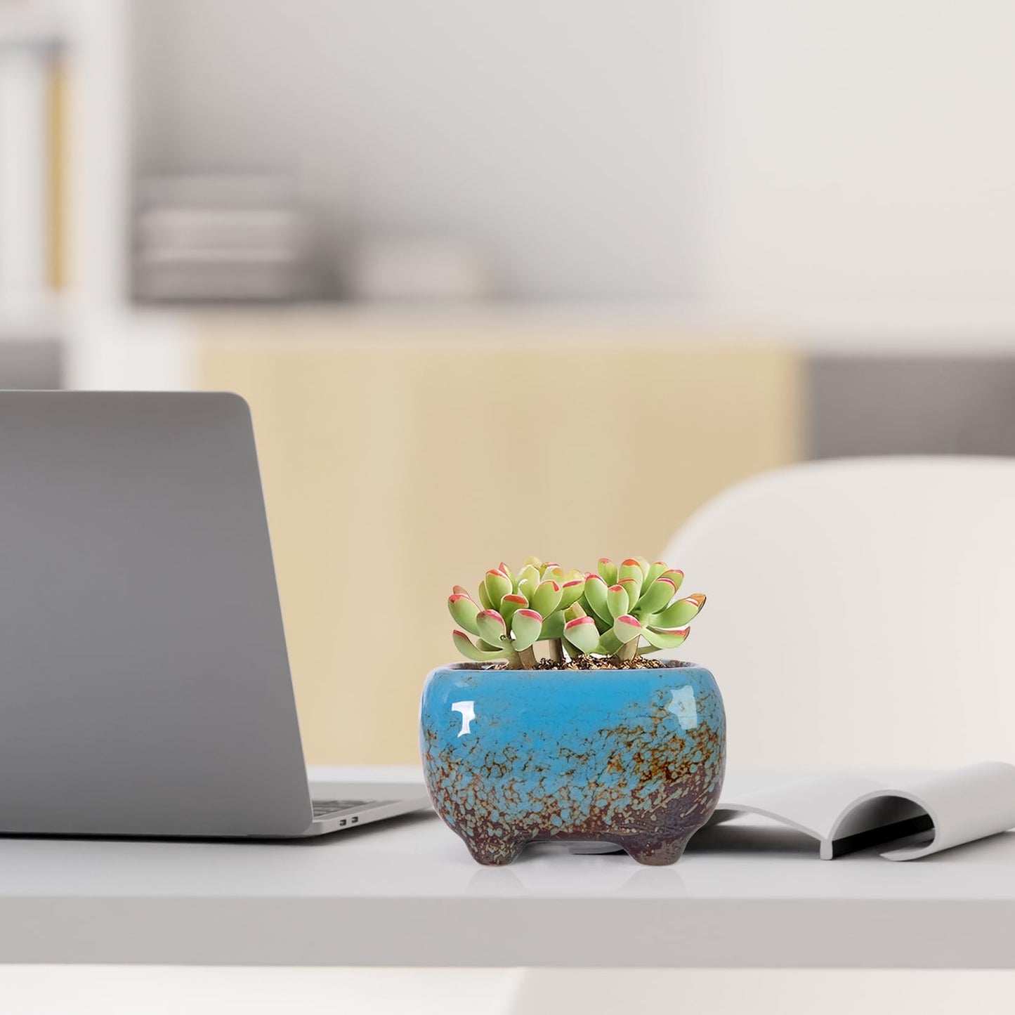 ARTKETTY Succulent Pots - Small Succulent Plant Pot with Drainage Set of 6, Ceramic Cactus Planter Pots for Indoor Unique Flower Planter Container for Home Office Decor