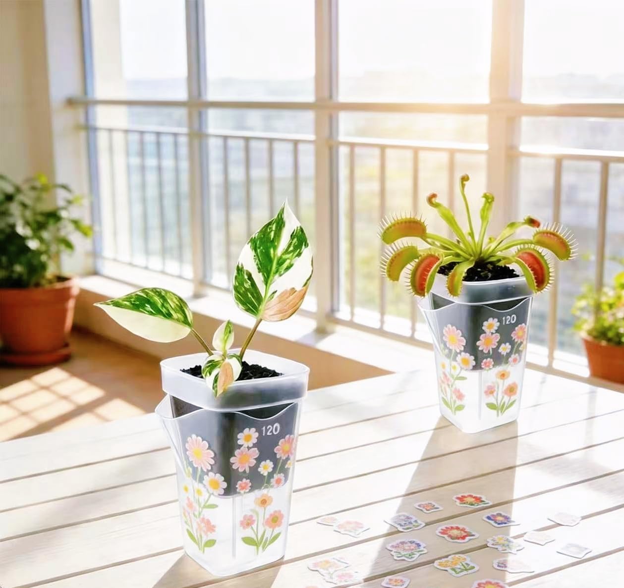 ckslkek 12 Pack 2.5 Inch Small Self Watering Pots for Indoor Plants with DIY Stickers, Clear Plastic Propagation Pots, Semi Hydroponic Pots for Leca PON, Includes 12 Plant Labels