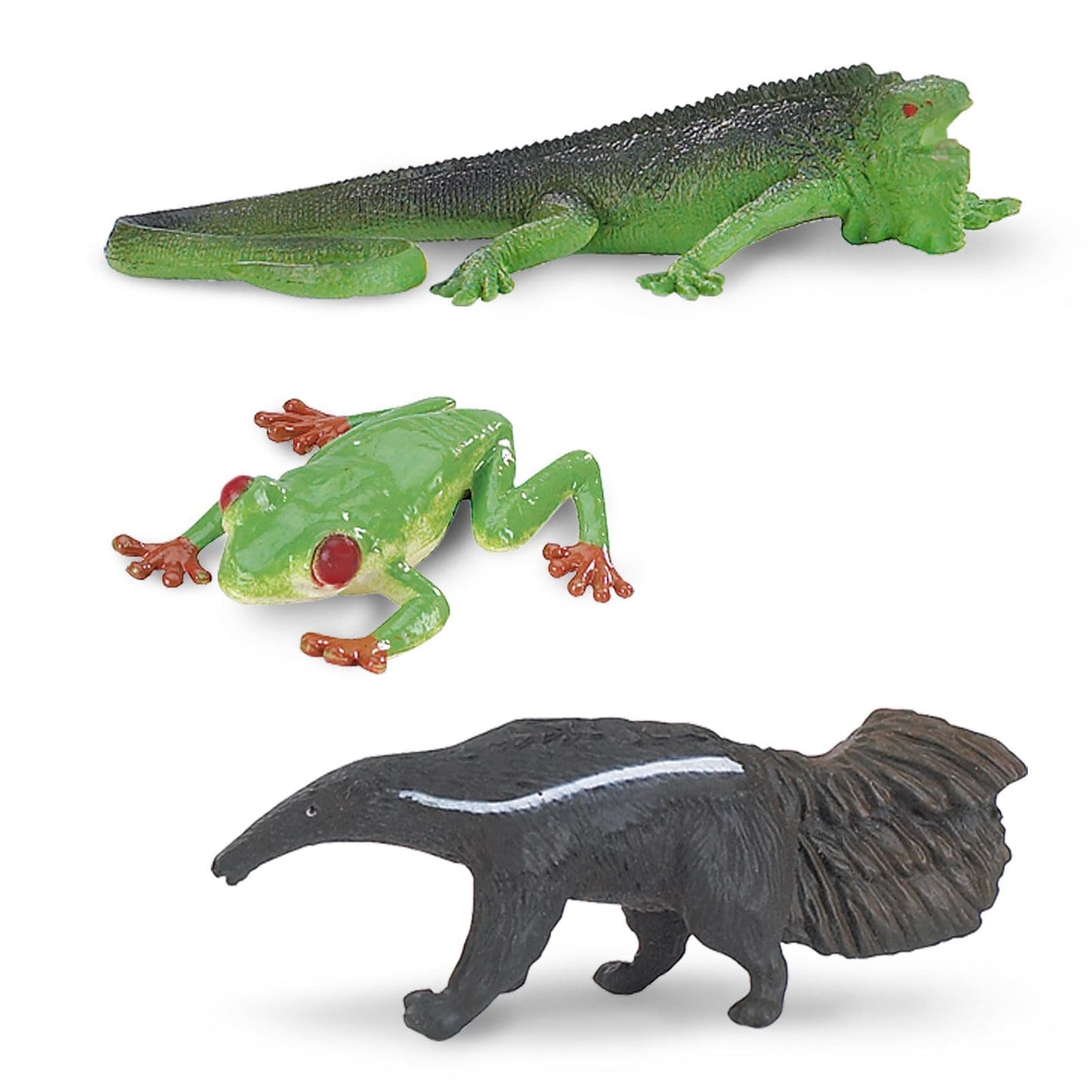 Safari Ltd. Rainforest TOOB - 11 Figurines: Macaw, Frogs, Toucan, Iguana, Monkey, and More - Educational Toy Figures For Boys, Girls, and Kids Ages 3+
