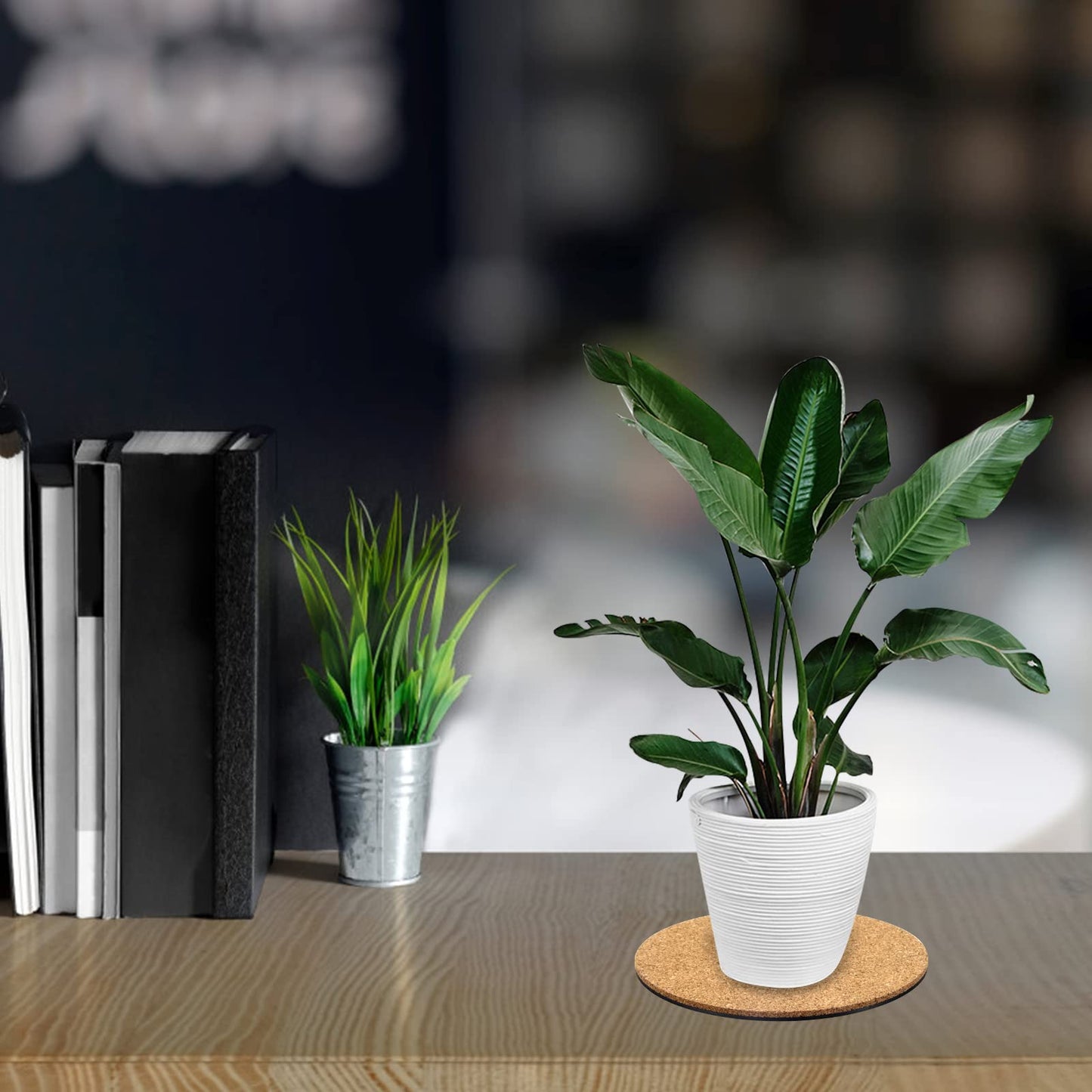 Coitak 6 Pieces Cork Mat for Plants, Round Cork Plant Coasters Mats for Garden, Courtyard, Pot Mat, Indoor Outdoor and DIY Craft Project (4 Inch, 6 Inch, 8 Inch)