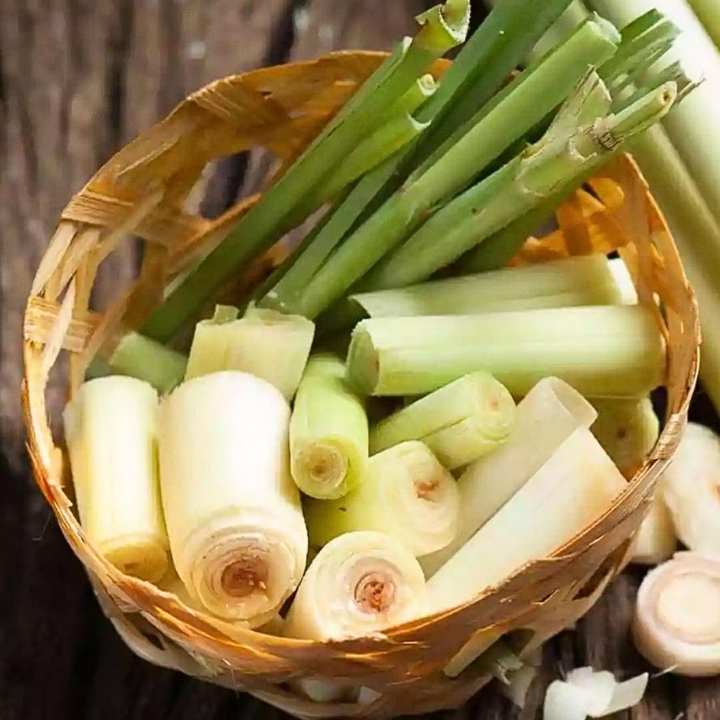 8 Lemongrass Plants Live, Well Rooted Lemongrass Stalks, 4-8 Inches, Fresh Lemon Grass Herbs for Garden Containers Growing