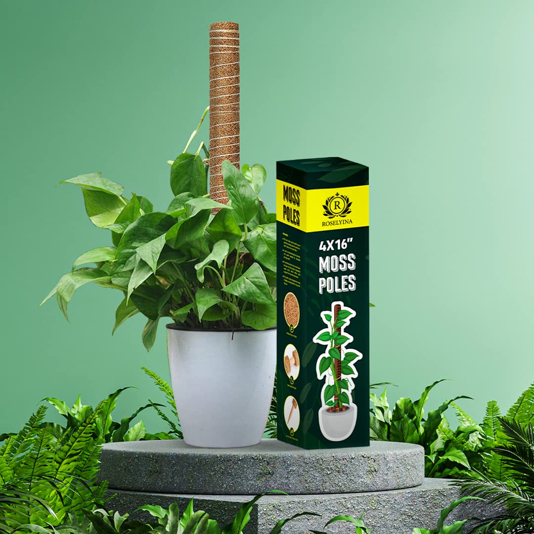 47.5 Inch Tall Moss Pole for Plants Monstera 4 Pcs 16 Inch Coir Totem Moss Pole Stick for Climbing Plants Indoor, Plant Support Extension/Trellis, Train Indoor Creepers to Grow Upwards 65ft Twist Tie.