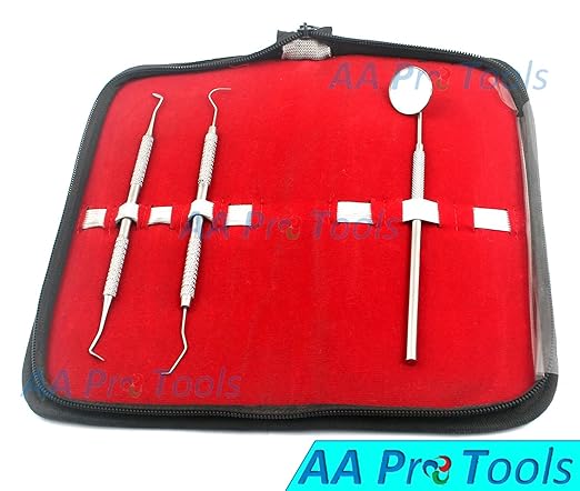 AA PRO Dental Hygiene KIT with CASE - Professional Grade Dentist Tool - Soft Steel Cleaning Set for White Teeth and Healthy Gums - Tartar Removal - Mirror and Scaler A+ Quality