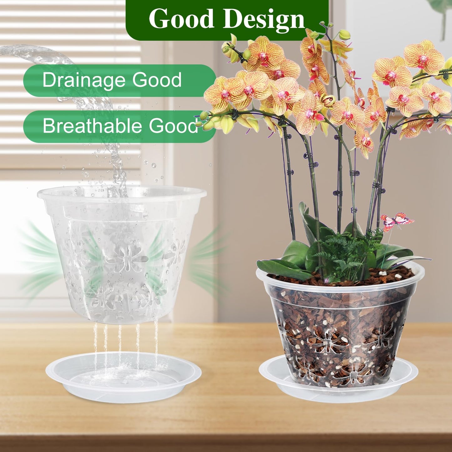 Blumiger Orchid Pot, 8 Pack 6 inch Orchid Pots with Holes & Saucers, Clear Plastic Pot for Repotting, Breathable Ventilation Planters for Phalaenopsis, Dendrobium & Oncidium Orchids