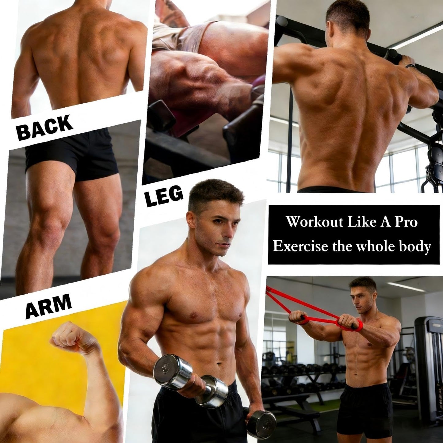 16-Pcs Resistance Bands Set - Premium Elastic Workout Bands for Home Gym, Strength Training, Yoga & Physical Therapy (Red(15-35 lbs))