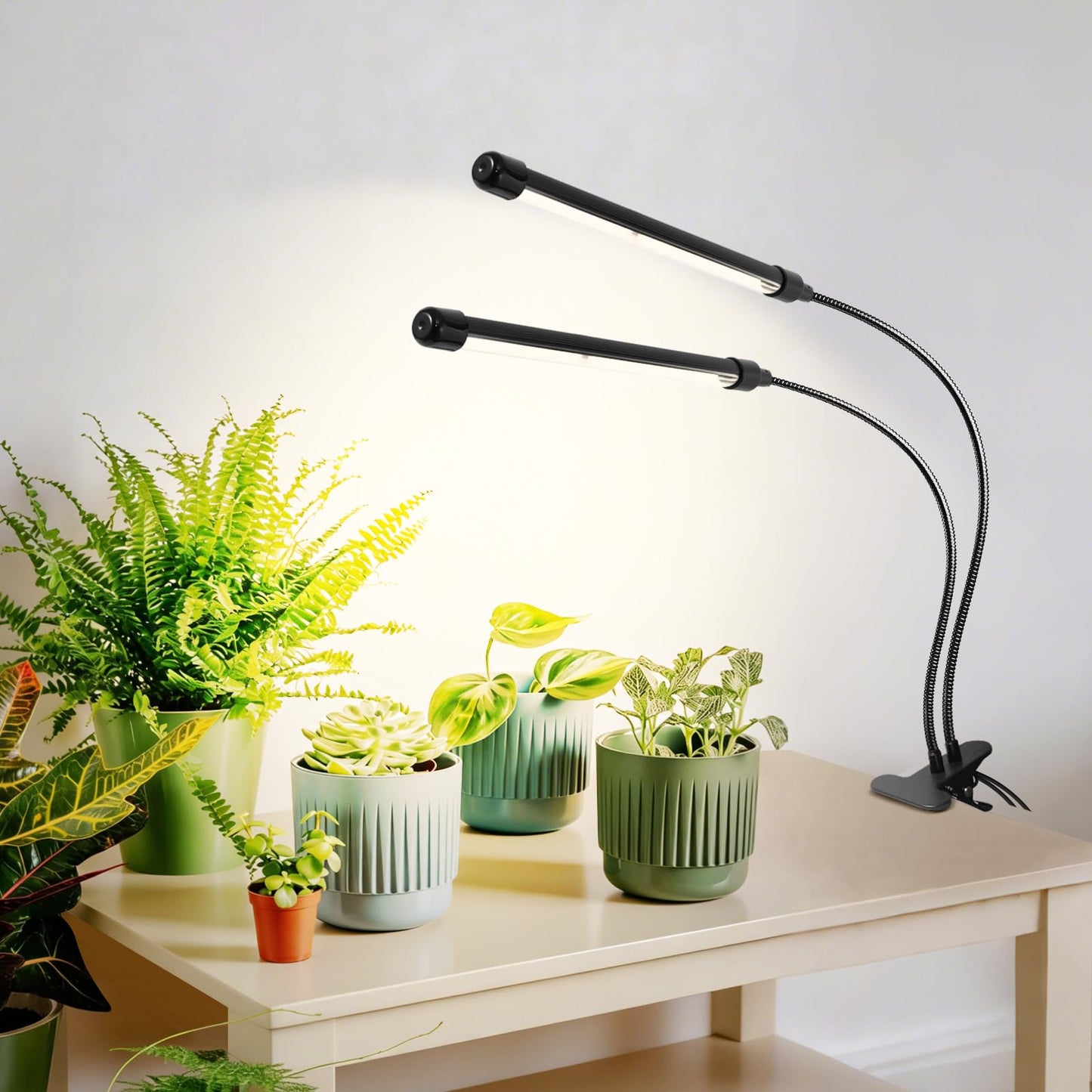 SENCHIKER Clip-on Grow Light 12V, 660nm-Enhanced Full Spectrum, LED Grow Lamp with Timer & Dimming, High PPFD 160 µmol/s/m²@6in, 10W Plant Light for Indoor Growing, C11-B