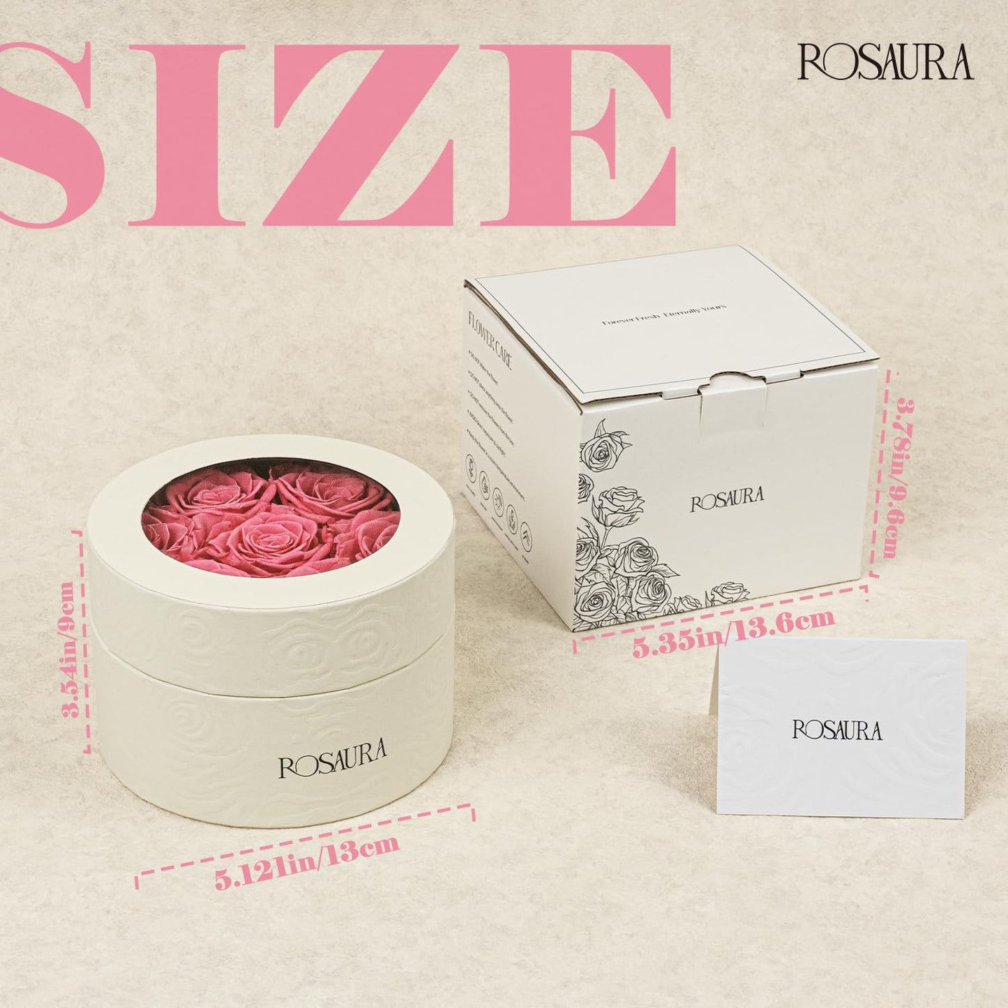 Rosaura Round Preserved Roses Gift Box (Pink, 7 Roses)