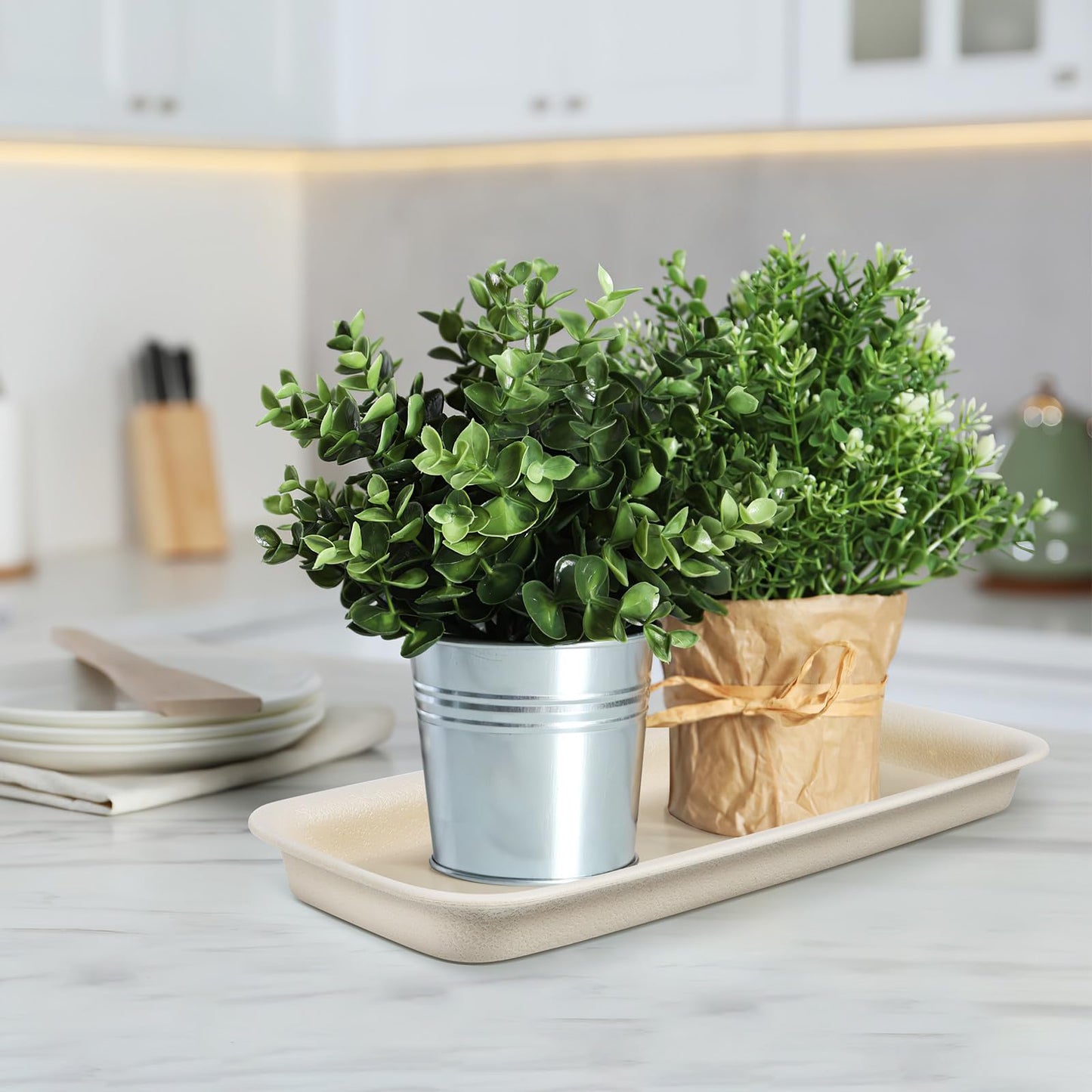 Toddmomy 3-Pack Rectangular Plant Saucer (13.4" x 5.5"), Plastic Drip Tray for Windowsill, Water Catcher Base for Indoor Outdoor Potted Plants, Reusable (White)