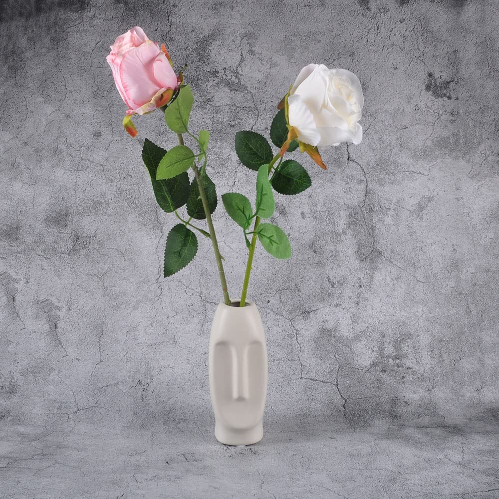 YOUUGIOR Face Planters Pots Unique Face Flower Pot Container for Indoor Outdoor Succulent Flowering Planting(White)