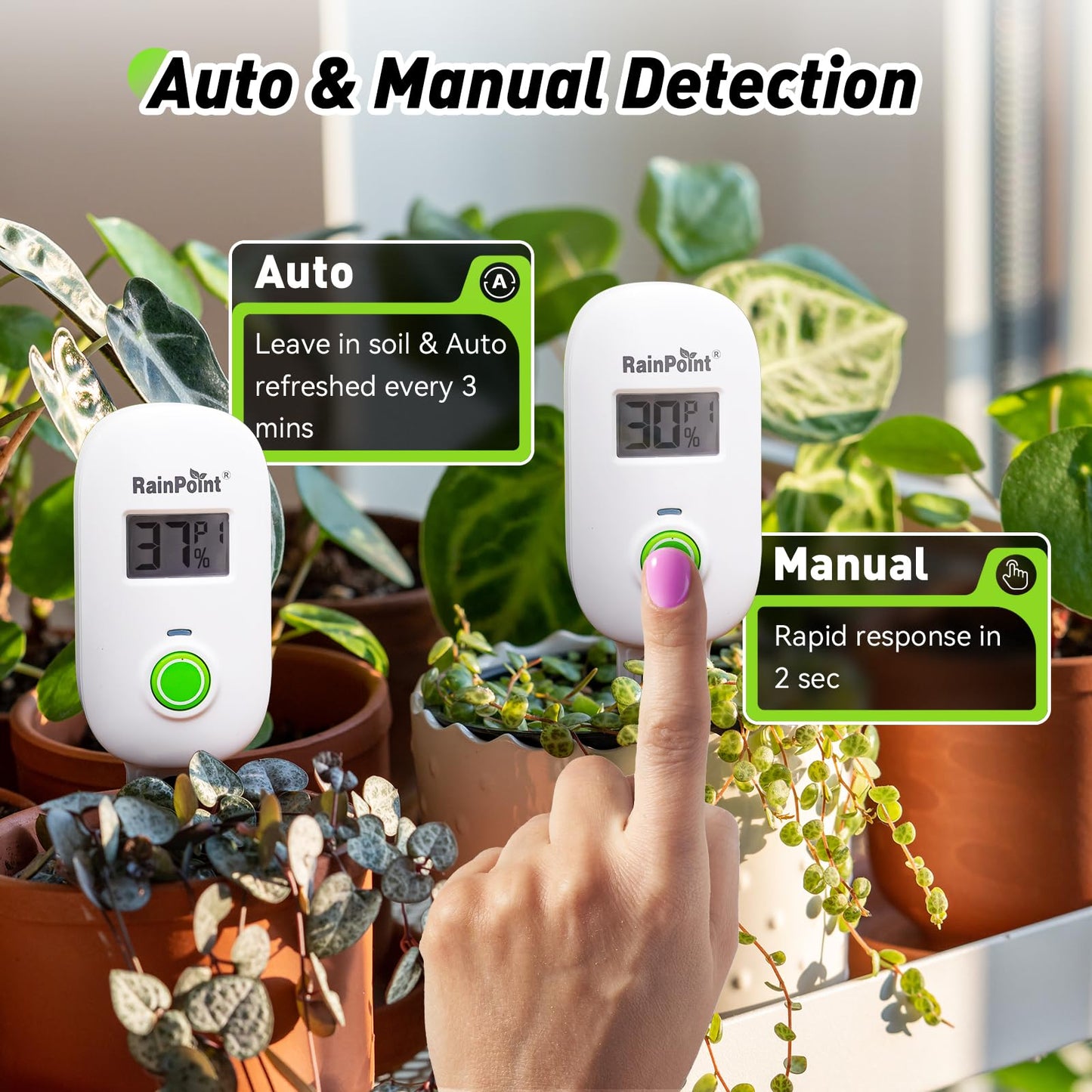 RAINPOINT Light-Driven Thermo-Hygrometer & Smart Digital Wireless Soil Moisture Meter (WiFi Hub Needed) Kit, Real-time Monitor Sensor Gardening Plant Care Essentials