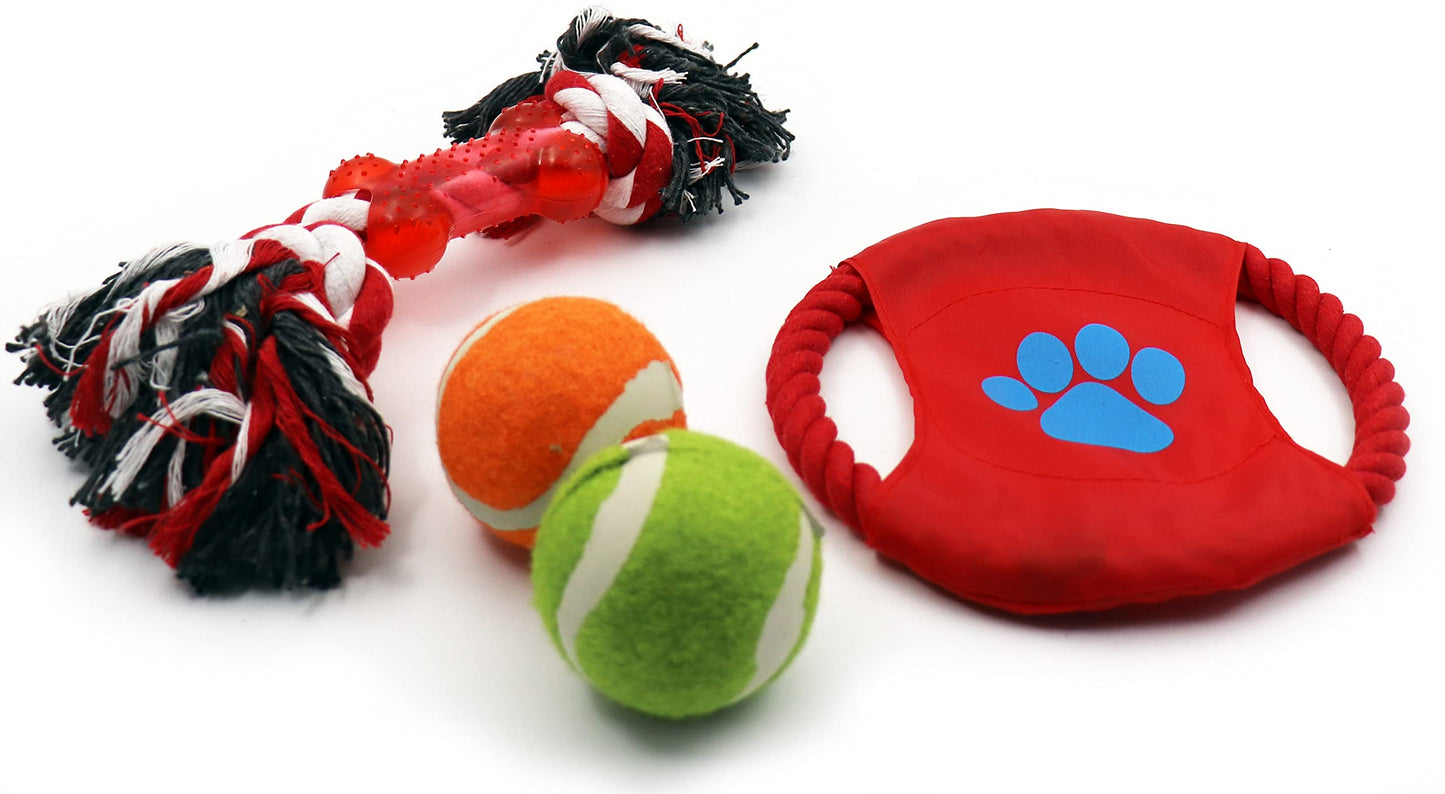 Deluxe Dog Gift Box Set with Pet Chew Toys Treats Snacks