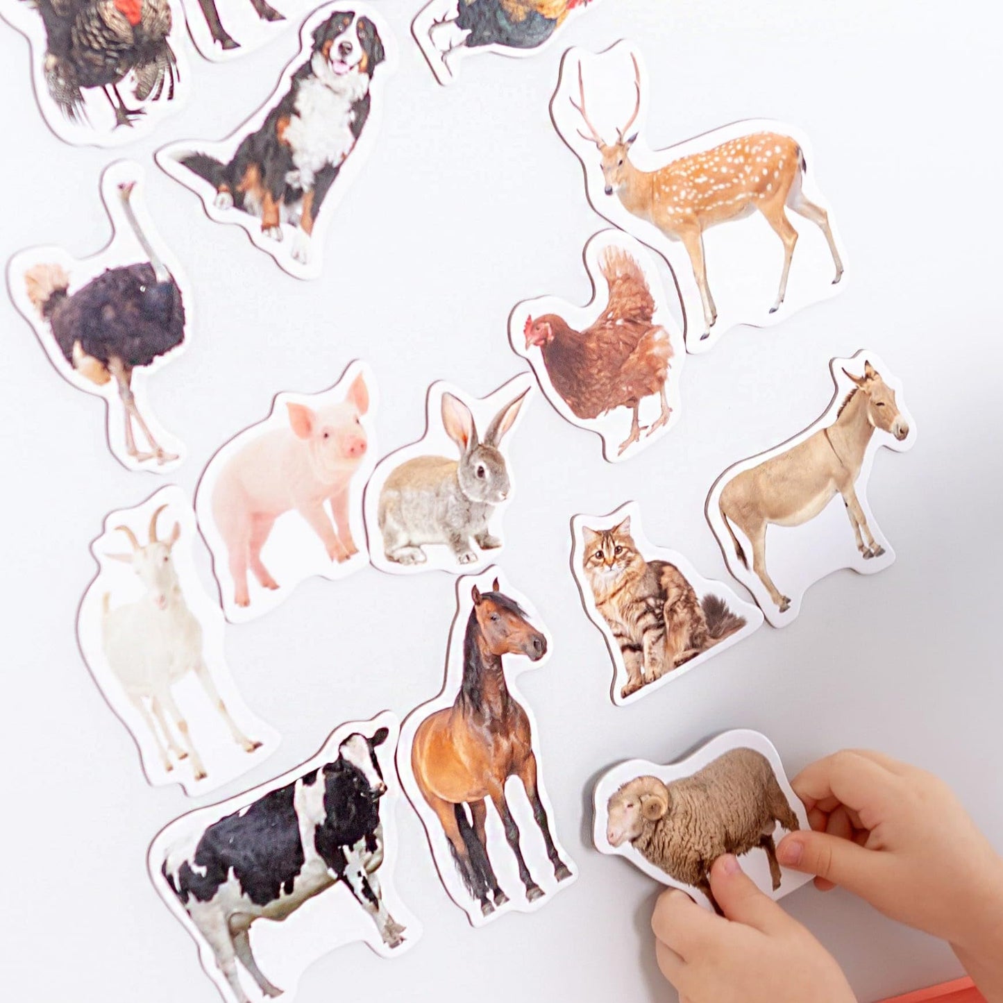 Fridge Magnets for Toddlers - Magdum - 110 Set Zoo+Farm+Fruit+Vegetable+Transport - Real Magnetic Animals for Refrigerator - Realistic Magnets for Kids - Learning Toy Set - Baby Educational Gift