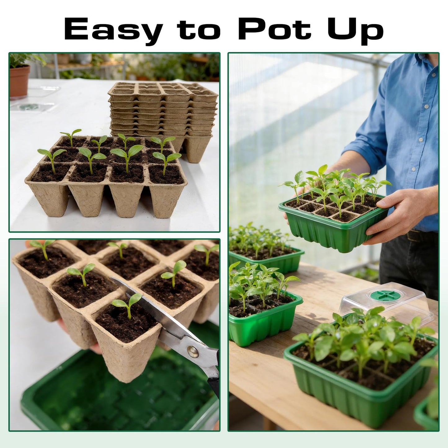 Bhyhok Seed Starter Tray Kit 10 Pack, Seed Starting Trays with Humidity Dome (120 Cells Total), Plant Germination Trays Complete Mini Greenhouse for Seed Growing & Seedlings