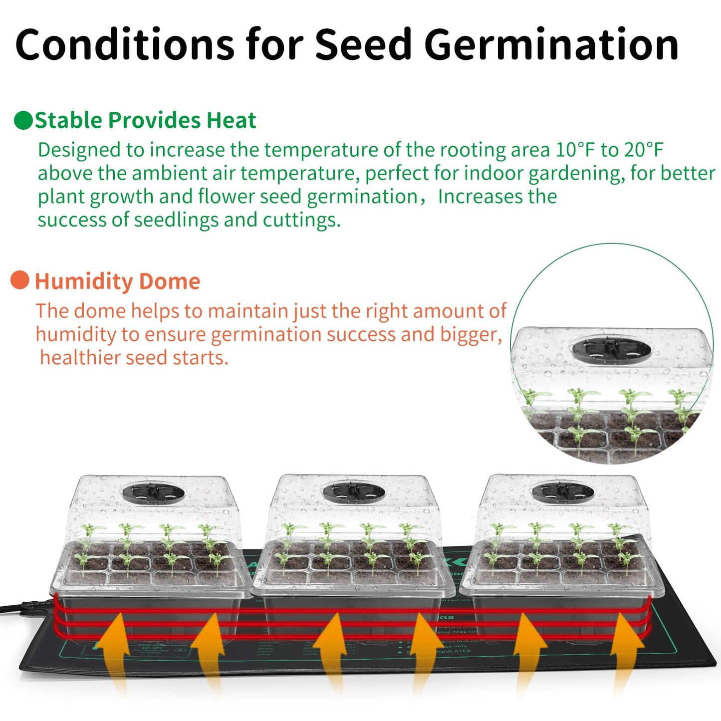 AUPETEK Seed Germination Kit with Heat Mat and Light Humidity Domes, 60 Cell Starter Trays Germination Station Cloning Kit