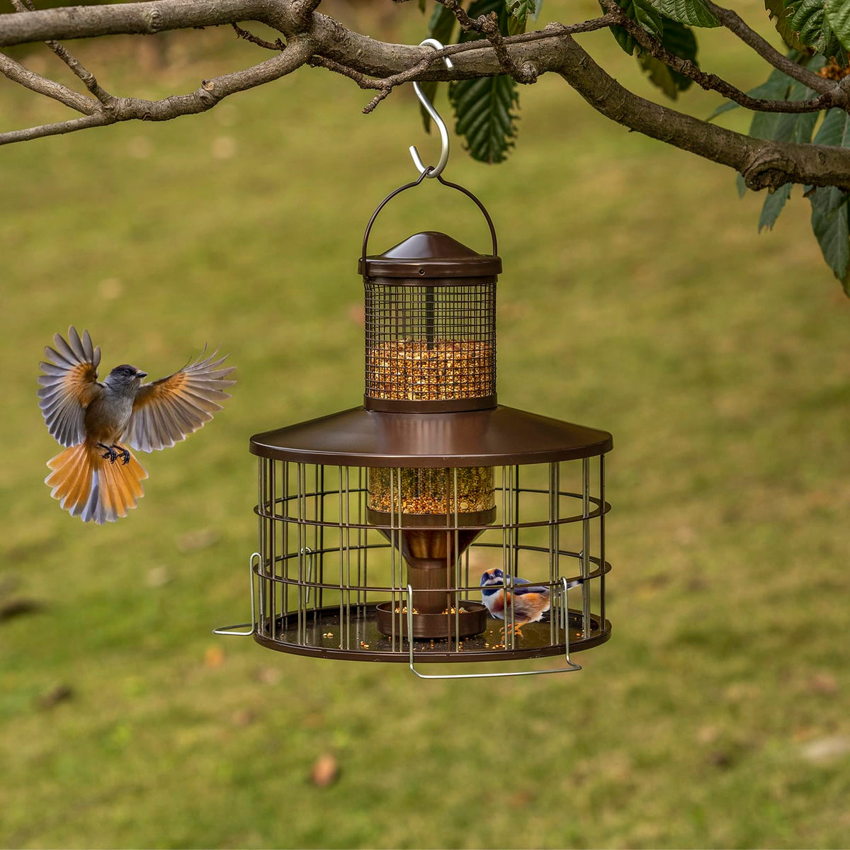 Upgraded Squirrel Proof Bird Feeders, 3Lbs Capacity Caged Bird Feeder, Innovative DIY Starling-Proof, Flexible Adjustment of Grille Size, Caged Seed Tube Feeders Outside Hanging(Copper)