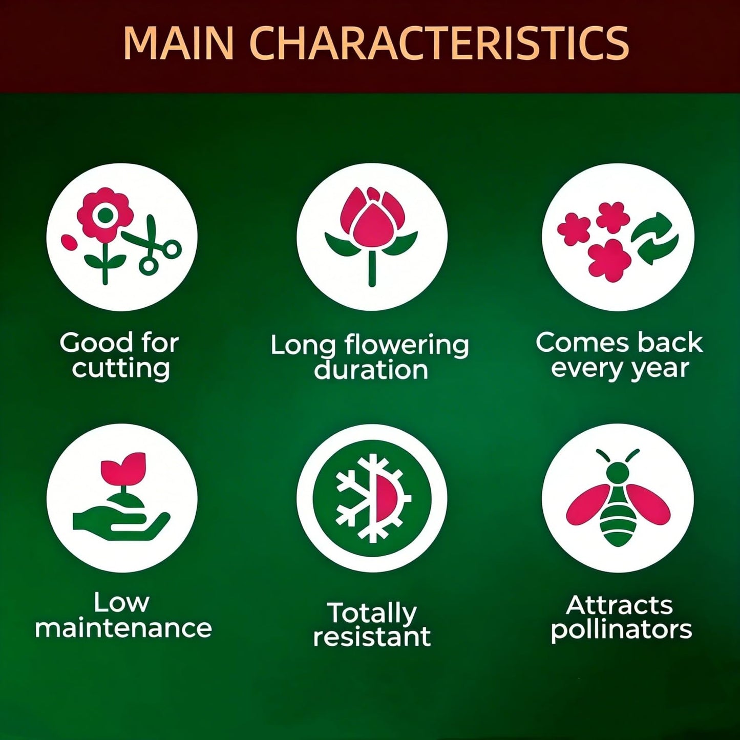 mkiytfdn Elephant Ear,Giant Tropical Foliage for Year After Year Garden Growth-10BULBS-B