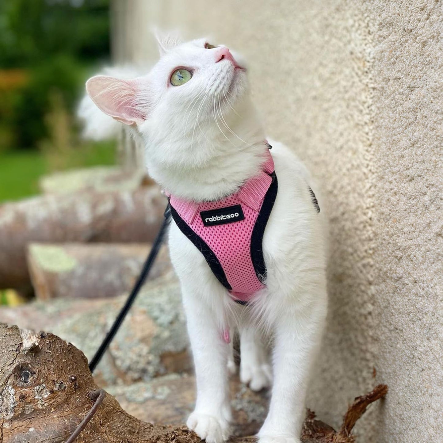 rabbitgoo Cat Harness and Leash for Walking, Escape Proof Soft Adjustable Vest Harnesses for Cats, Easy Control Breathable Reflective Strips Jacket, Pink, S