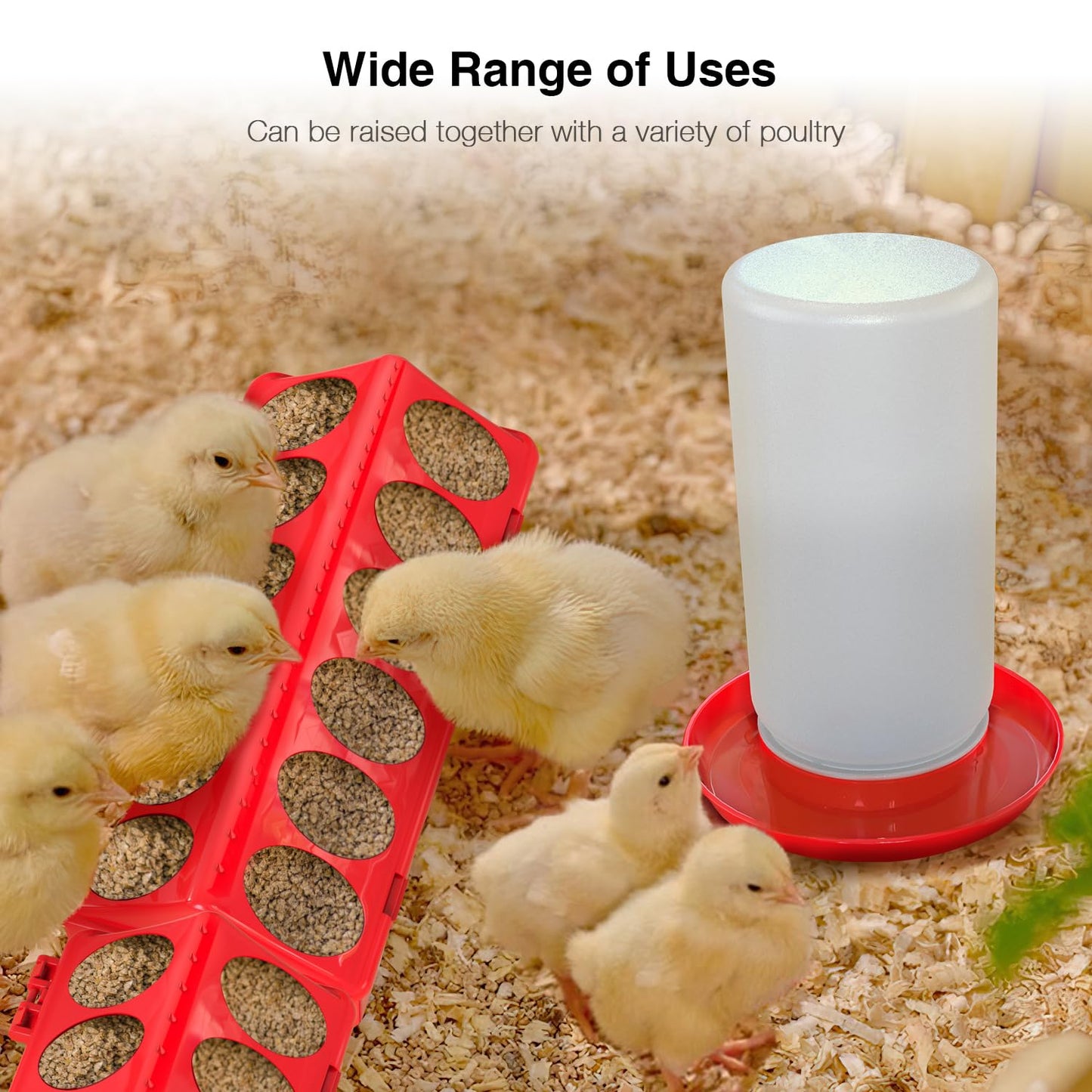 Kculehtlla Chick Feeder and Waterer Kit - Baby Chicken Supplies with Chicks Perch, Plastic Feeder Trough and 1.2L Waterer, Chicken Starter Kit for Coop and Brooder for Small Poultry Ducks Quail