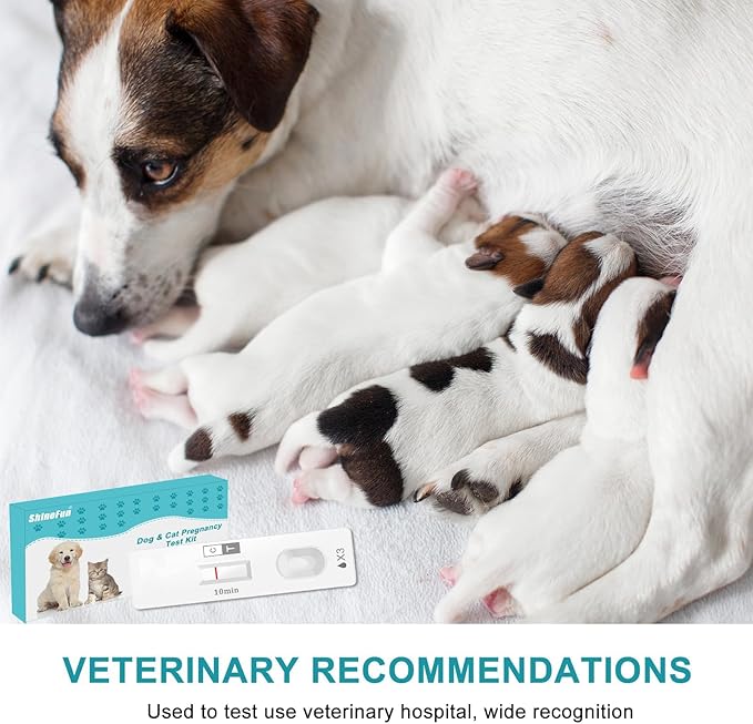 Dog & Cat Pregnancy Test Kit at Home,Dog Urine Test - Urine-Based, 98.8% Accurate, 10-Minute Results, Painless(1 PCS)