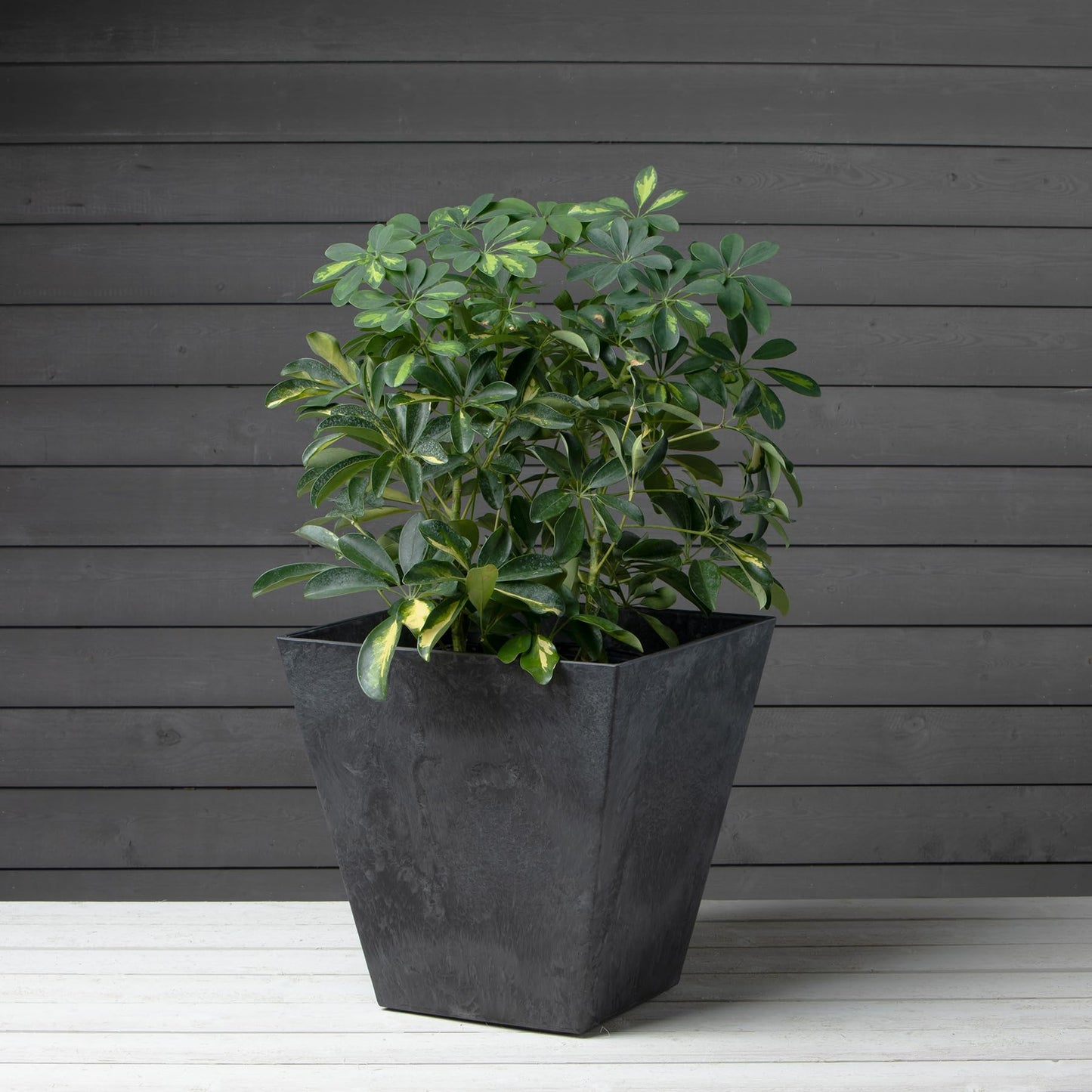 Root & Vessel, Black, 35168 Ella Square Planter, Black, 16-Inch
