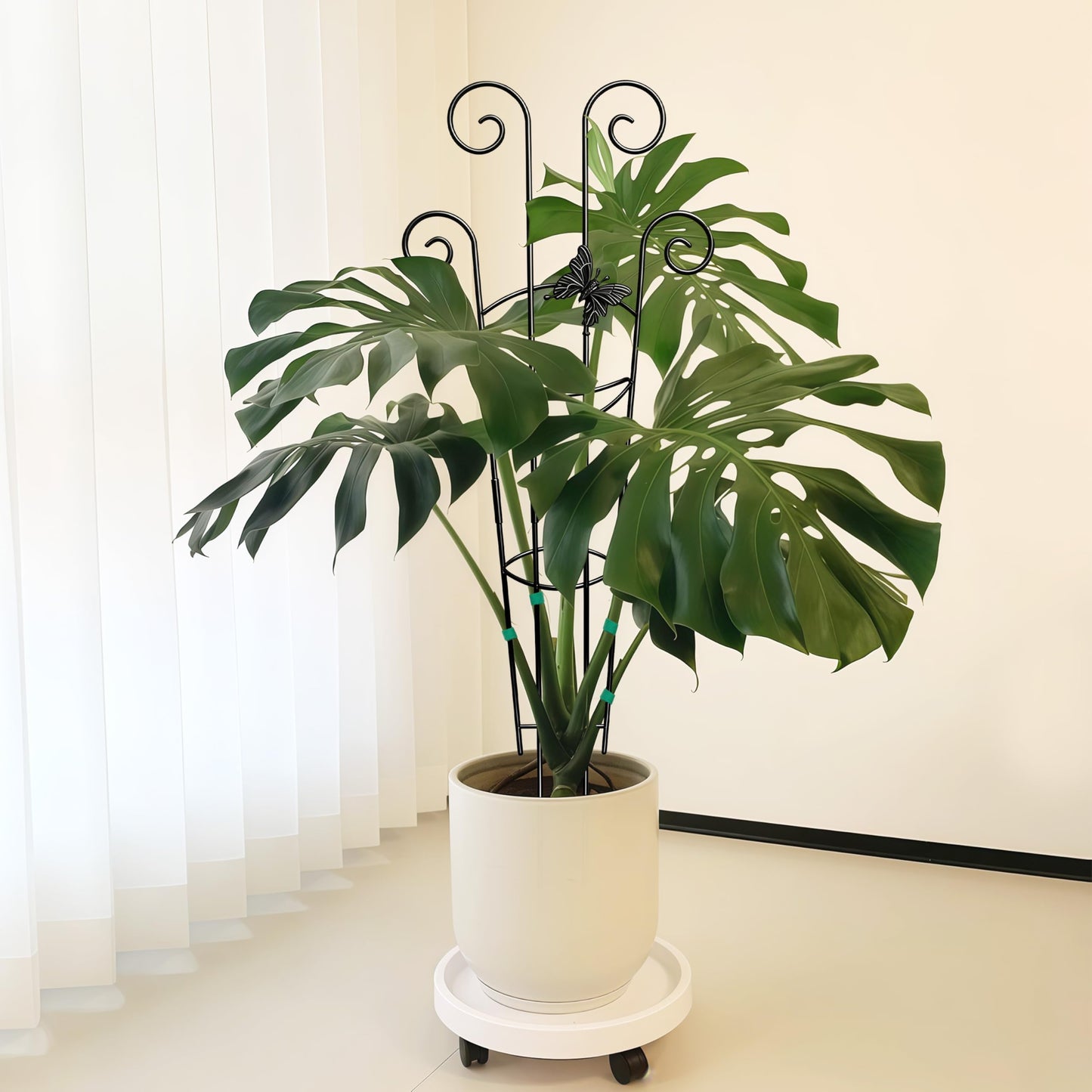 Coomin 32.6in Monstera Plant Support for Indoor Plants, 4P Trellis for Climbing Plants Indoor, Plant Climber Stakes for Potted Plants