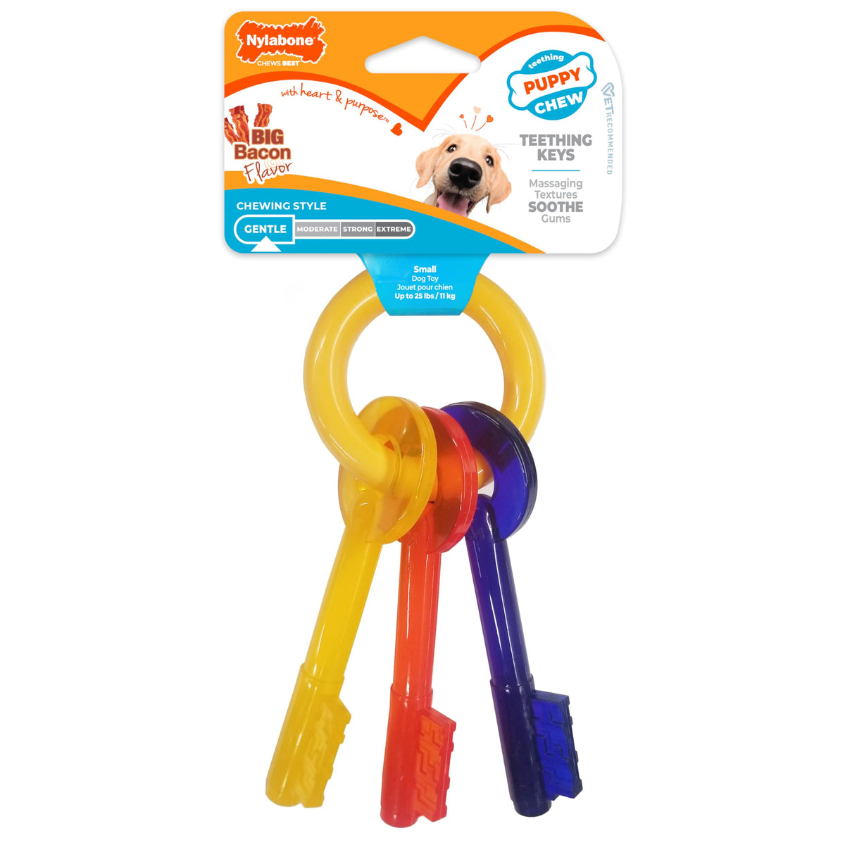 Nylabone Puppy Chew Teething Keys Dog Chew Toy, Bacon Flavor, Medium