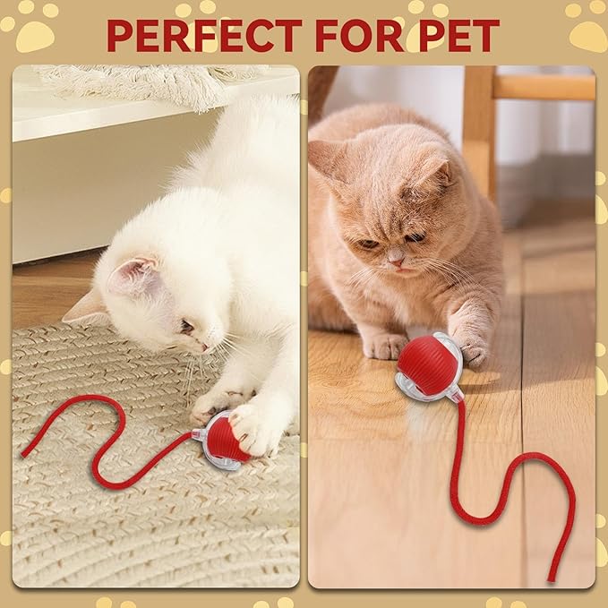 Guyugoey Interactive Electric Automatic Rolling Moving Rechargeable Self Play Stimulation Toy,Smart Pet Chase Ball with Speedy Tail Rope for Bored Indoor Cats Enrichment,stimulating Dogs Toy (Red)
