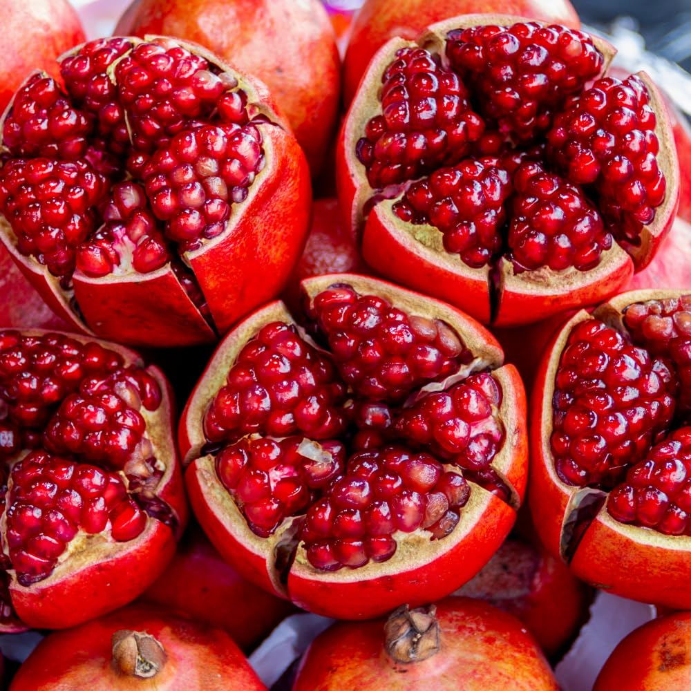 Pomegranate Tree Live Plant for Planting, 8–10” Tall in 4" Pot, Sweet Pomegranate Fruit Tree for Outdoor Growing