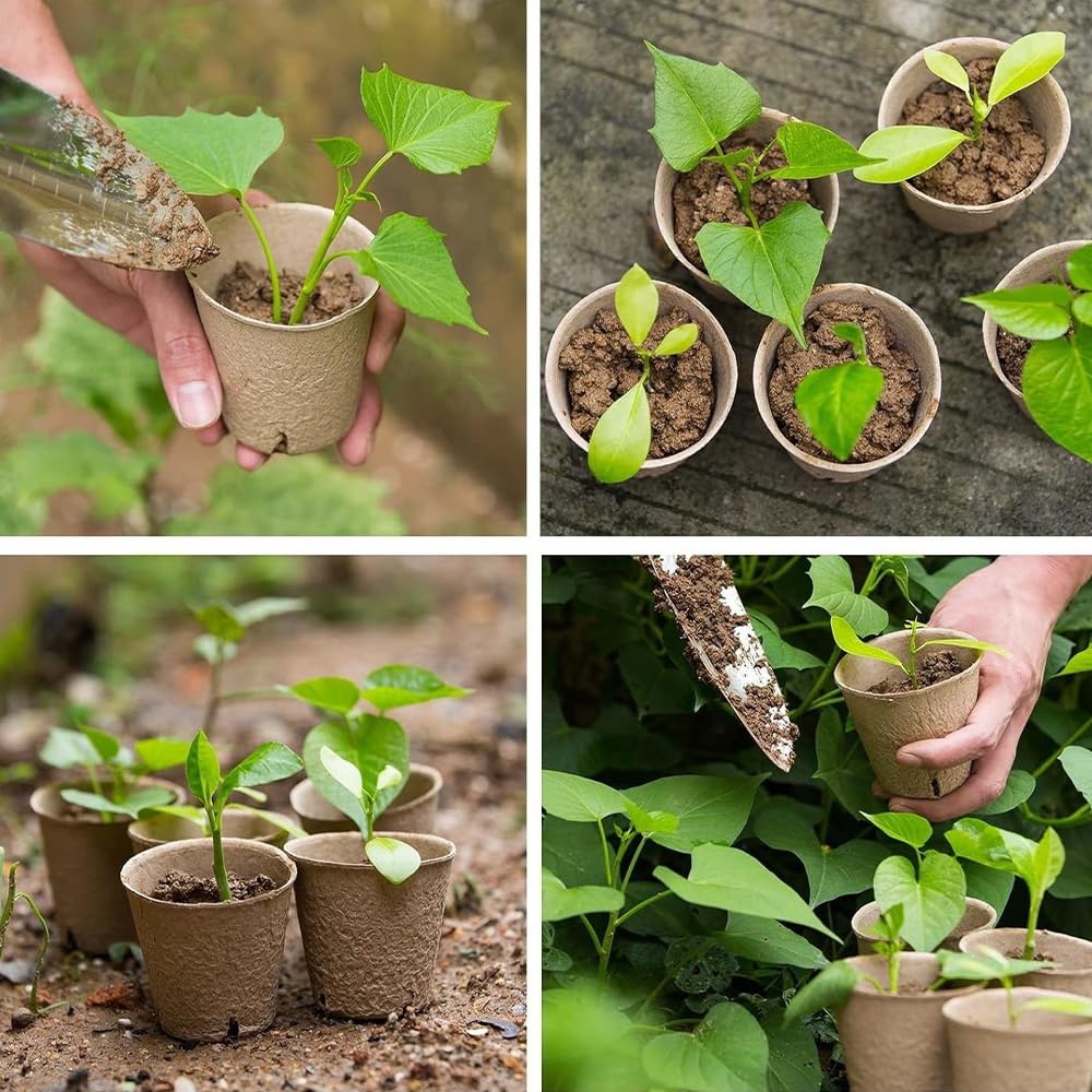 Fancypost 130 Pcs 3.15 Inch Organic Peat Pots with Drainage Holes - Biodegradable Seed Starter Pots for Seedlings, Plants & Garden Germination - Includes 130 Planting Labels