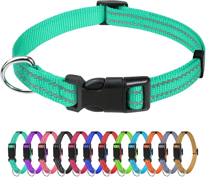 TagME Large Dog Collar, Reflective Nylon Collar, Khaki, 1.0" Width