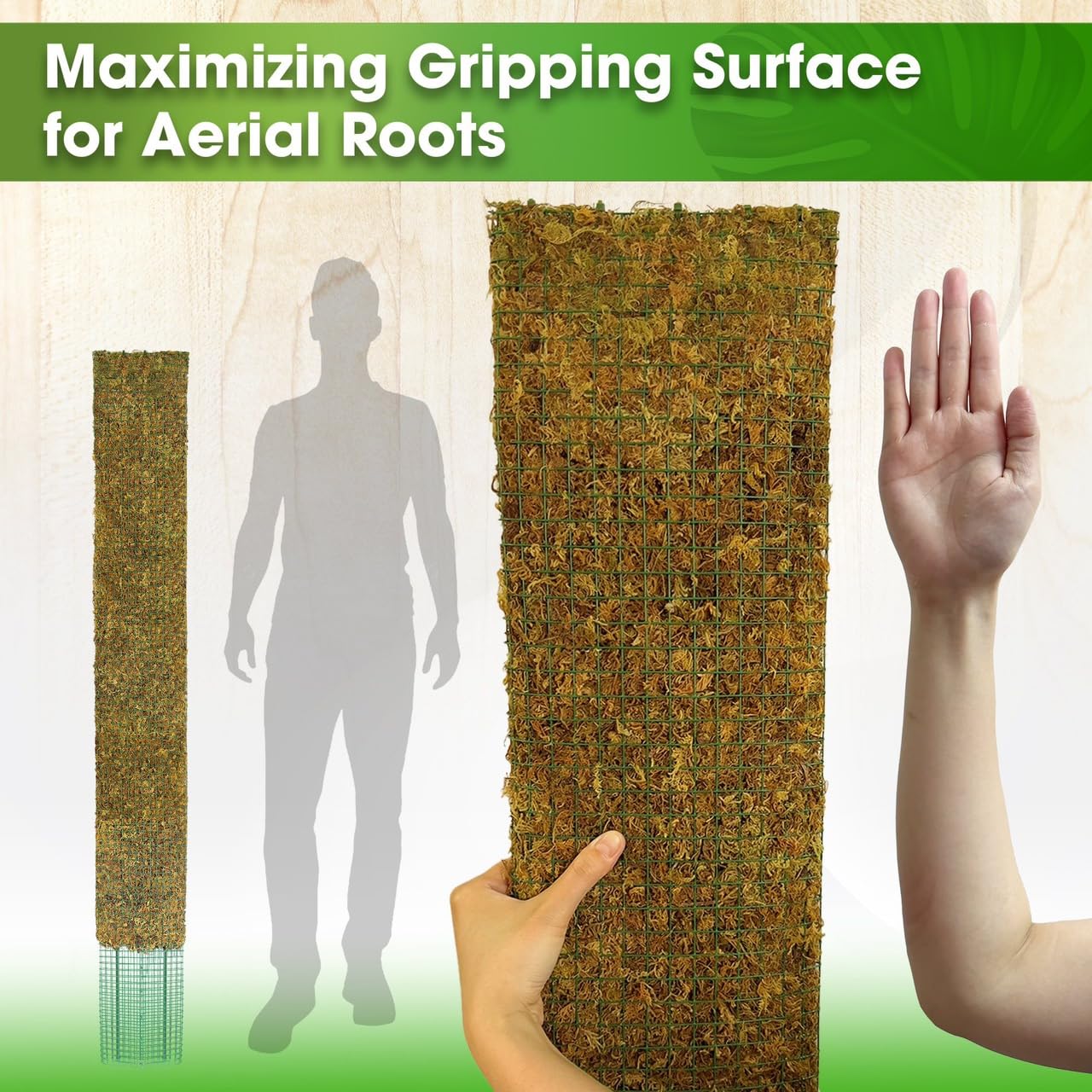 DUSPRO 59ββ Flat Mesh Moss Poles for Climbing Plants Monstera Flat Stacks for Tall Plant with Real Moss Moss Pole for Indoor Plants Plant Stick Support Tall Indoor Plants Support Stakes (1pc., 59'')
