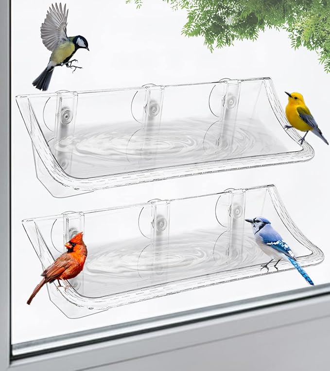 AnBaiMei Clear Window Mounted Bird Feeder Bath, 1 Pack